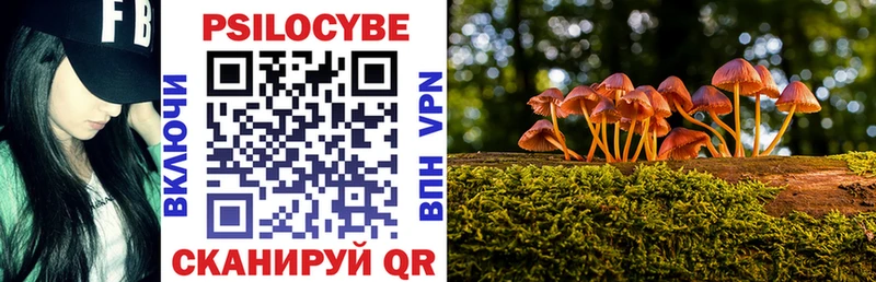 Купить где  Иркутск  Псилоцибиновые грибы GOLDEN TEACHER 
